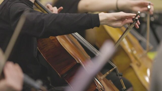 A cello section playing their instruments dressed all in black during a classical symphony orchestra rehearsal session