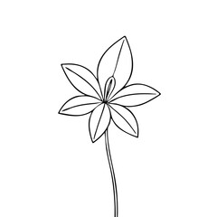 Lily flower in continuous line art drawing style. Lilium flower and a bud black linear design isolated on white background. Vector illustration