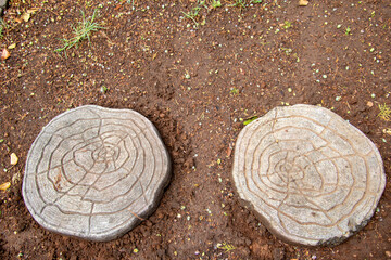 Two stepping stones on wet ground staring back like the large eyes of Mother Earth