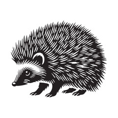 Detailed hedgehog silhouette for creative artistic projects - Hedgehog black vector
