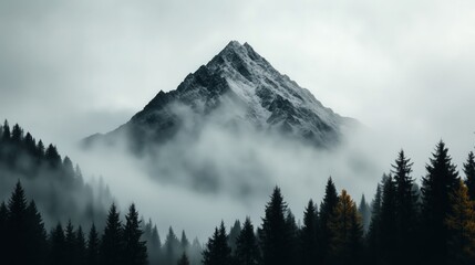 A snow-capped peak emerges from light fog, embraced by serene evergreen forests