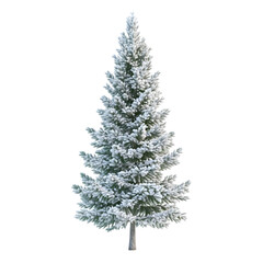 Fototapeta premium A snow-covered evergreen tree, ideal for winter or holiday decorations.
