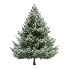 Fototapeta premium A snow-covered evergreen tree, often used for winter decorations and festive celebrations.