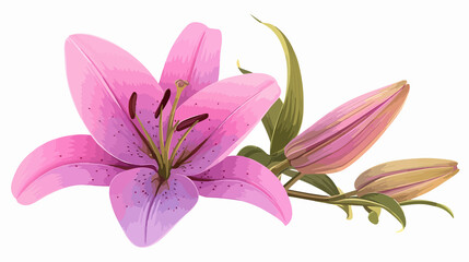 Naklejka premium Exotic Pink Lily Blossom Vector Illustration for Graphic Design Projects