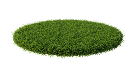 Circular patch of green grass on a white background.