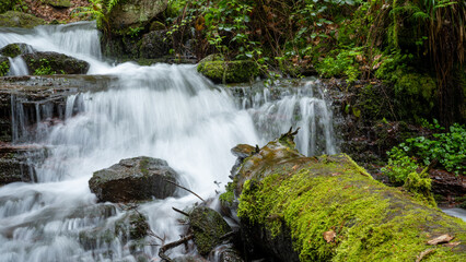 Serene Forest Waterfall: Cascading Water Flows over Moss-Covered Rocks and Fallen Tree Trunks Amidst Lush Greenery, Capturing the Tranquility and Natural Beauty of a Vibrant Woodland Scene