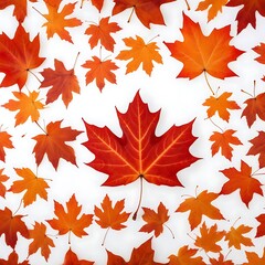 Obraz premium Close up on leaf isolated