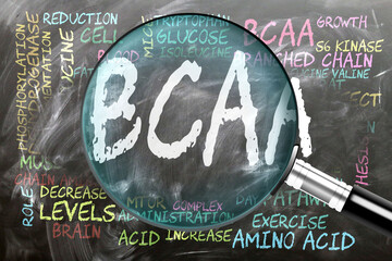 Bcaa being studied, examined - under close inspection. Most important subjects and ideas closely related to bcaa written on a blackboard inspected by a magnifying glass. ,3d illustration