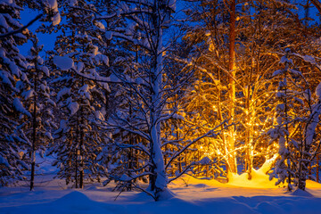 Glowing Garland in the Evening Snowy Winter Forest