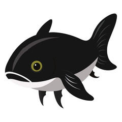 Fototapeta premium A marine fish vector illustration 