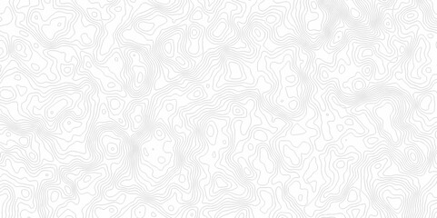 White topography topology vector white background fresh contour map texture. white seamless pattern Abstract background with a wave Topography and geography map grid abstract backdrop.
