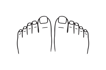 two feet top view, toes, nails, pedicure doodle hand drawn icon. Outline drawing two feet top view, toes, nails, pedicure line clipart symbol