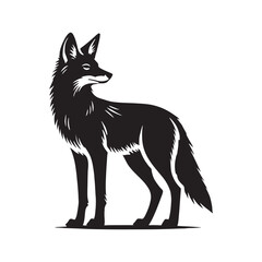 Stylish jackal silhouette for digital art designs - Jackal illustration - minimallest jackal vector
