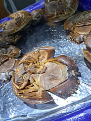 Fresh live horseshoe crab or Xiphosura for BBQ on street vendor stall, Thailand. Top view, selective focus