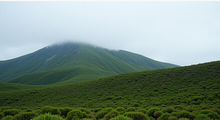 Obraz premium landscape in the morning