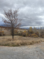 mountains late autumn cloudy postcards background. High quality photo
