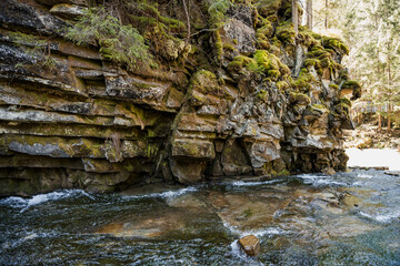 Serene Rocky Riverbank Surrounded by Lush Green Forest