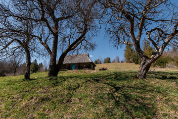 Peaceful Rural Landscape with a Cabin Surrounded by Leafless Trees and a Clear Blue Sky