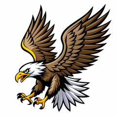 bald eagle in flight