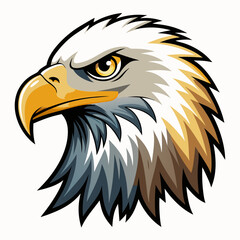 bald eagle head