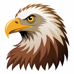 american bald eagle