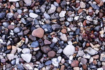 Abstract pattern of multicolored pebbles on the seashore