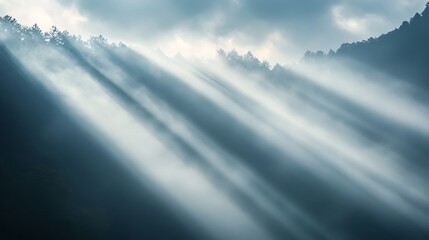 Fototapeta premium Sunbeams Illuminate Foggy Forest Landscape