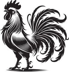 rooster illustration