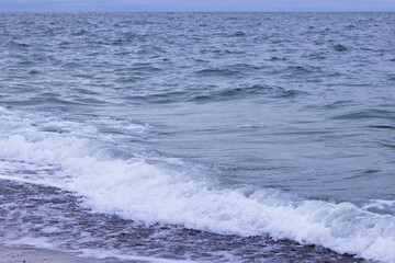 Rolling of a foam wave on the shore in the North Sea