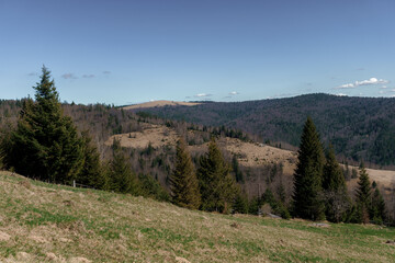 Serene Mountain Landscape Under a Clear Blue Sky
