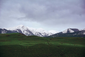 Fototapeta premium the landscape of a mountain valley with a green field of grass and snow-capped peaks