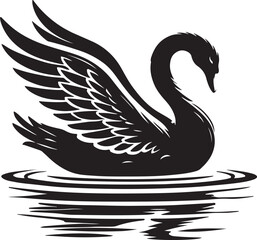 black and white swans © SATHI