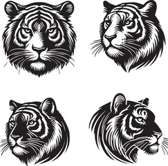 tiger head vector illustration 