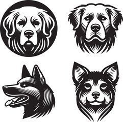 black and white dog head