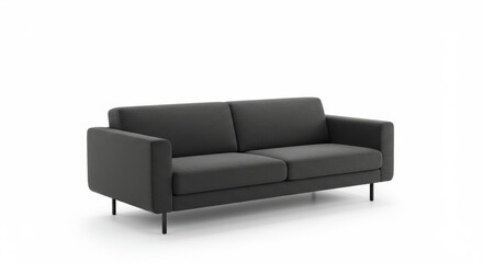 Modern Dark Gray Two-Seater Sofa