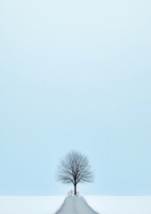 Obraz premium Serene Winter Cycling on Frosty Pathway with Lone Tree