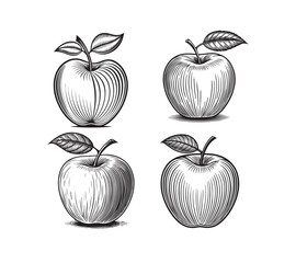 Apple line art silhouette
