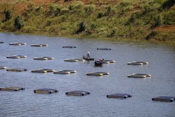 Criação de peixes na represa com varios caixotes com fundo da natureza selvagem.