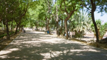 Blurry image of a tree-lined outdoor park pathway with dappled sunlight creating a tranquil, defocused, and bokeh-rich scene during daytime.