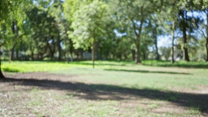 Defocused view of lush greenery and trees in villa borghese gardens, rome, capturing the tranquil and expansive outdoor park setting with soft bokeh effect and natural light.