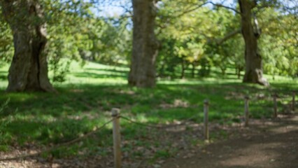 Villa borghese gardens in rome feature a blurred outdoor setting with lush greenery and defocused trees creating a serene, natural atmosphere.