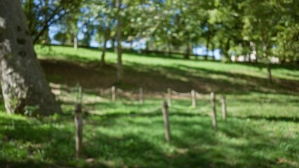 Fototapeta premium Blurred view of villa borghese gardens in rome, showcasing lush greenery, defocused trees, and sunlit bokeh, creating a serene outdoor ambiance.