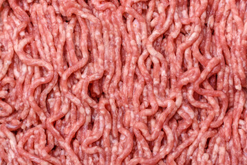Fresh raw ground minced beef with salt and spices
