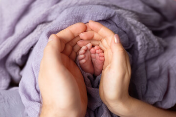 baby's feet in parents' hands. parenting, newborn care