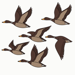 A vector artwork of a migrating flock of ducks in flight, ideal for digital and graphic design projects.