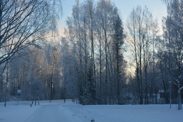 Infrastructure, Varkaus, Finland. Beautiful winter streets, alleys with roads, cars, cyclists, sidewalks, green fir trees, birches, trees, covered with white, fluffy snow.