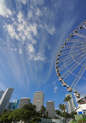 Downtown Miami skyline along Biscayne Bay and Bayfront Park