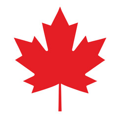 Maple leaves isolated vector on white background. 