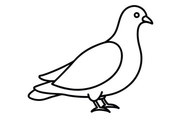 Beautiful Pigeon line art vector illustration