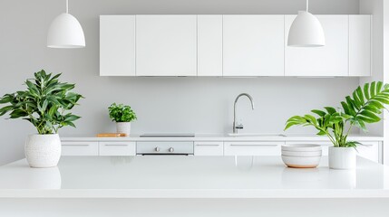 Minimalist white kitchen interior with plants.